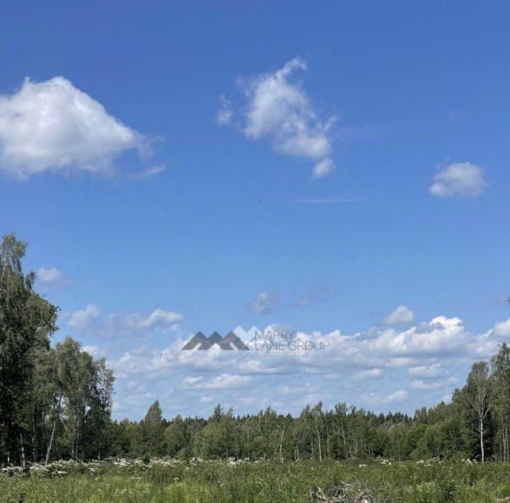 офис городской округ Наро-Фоминский ЗАО Элинар тер., 17 фото 8