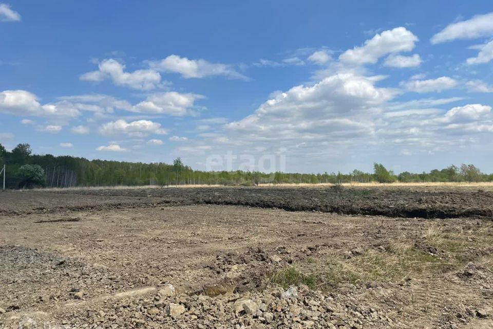 земля г Хабаровск садовое товарищество Виктория, городской округ Хабаровск фото 3