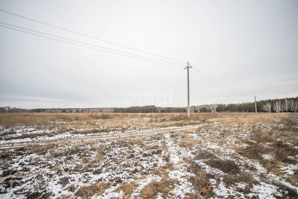 земля р-н Сузунский фото 7