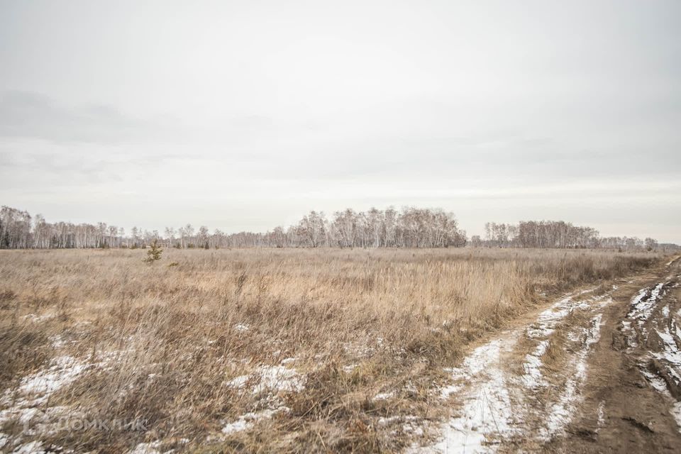 земля р-н Сузунский фото 10