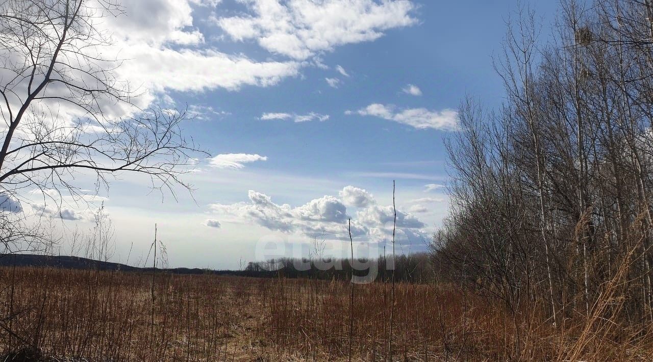 земля р-н Хабаровский с Корсаково-1 Чистополье кв-л фото 4