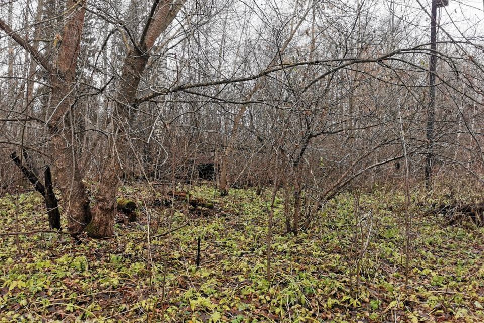 земля г Тверь городской округ Тверь, посёлок Власьево фото 6