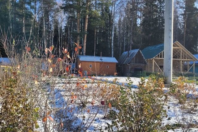 сад СНТ КоллективныйN1 городской округ Лесной, 63 фото