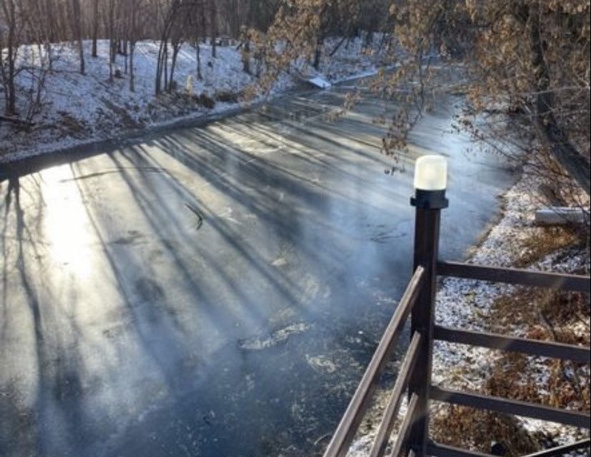 земля г Новокуйбышевск ул Черемуховая 17 городской округ Новокуйбышевск фото 1