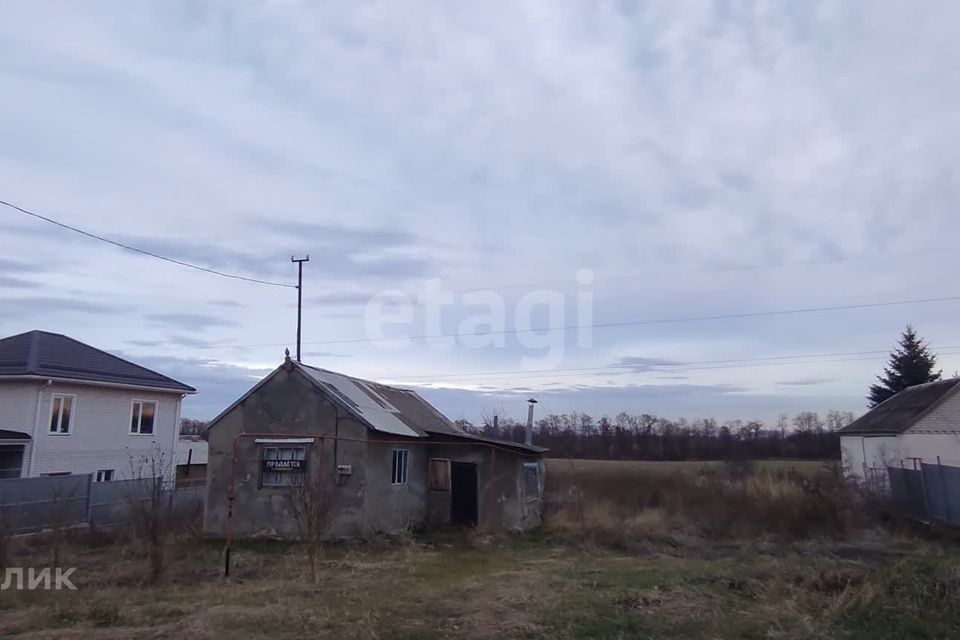 земля р-н Кочубеевский село Новая Деревня фото 5