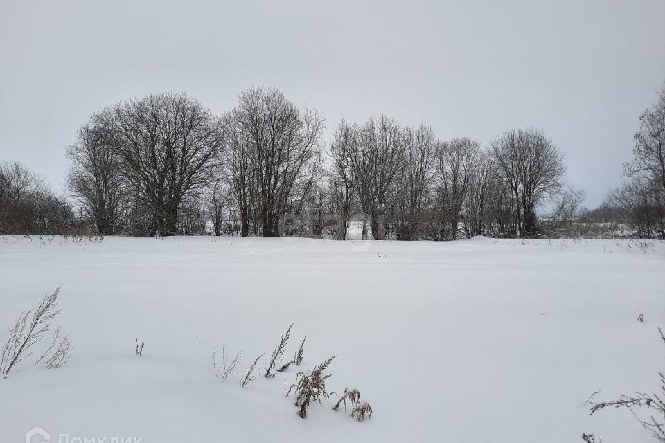 земля р-н Ярославский д Чурилково снт Солнечный 102 фото 1