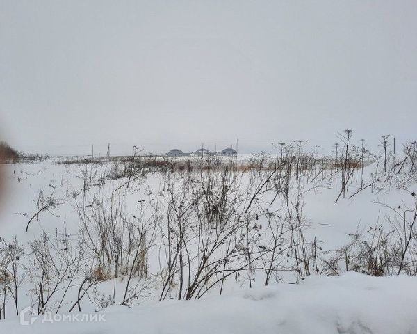 городской округ Ярославль, Заволжский район фото