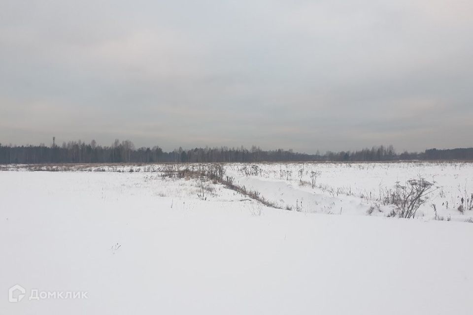 земля р-н Выборгский Первомайское сельское поселение фото 1