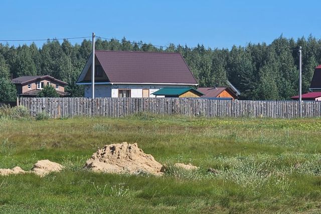 деревня Старые Омутищи фото