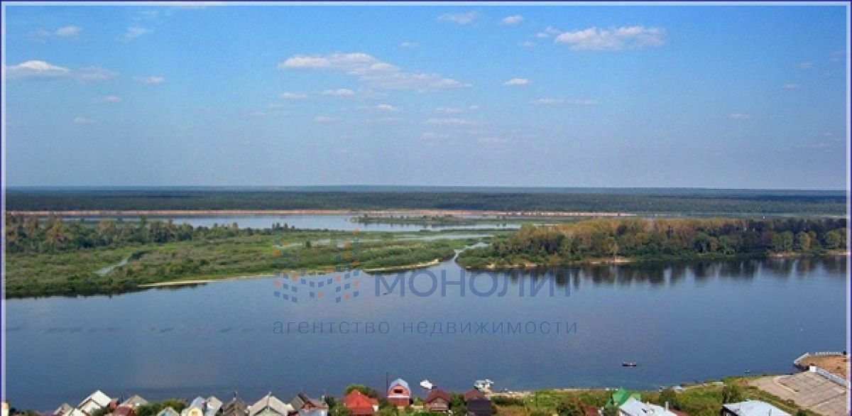 земля г Шахунья Кстовский муниципальный округ, Мечта, садоводческое товарищество фото 2