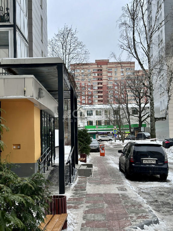 квартира г Пушкино ул Добролюбова 32 фото 3