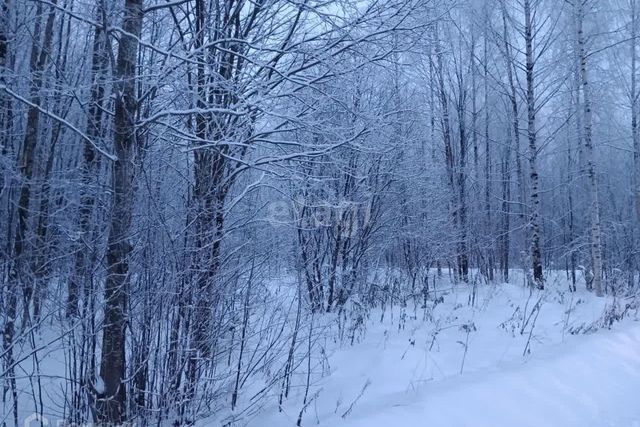 земля 104-й микрорайон, городской округ Череповец фото