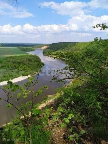 земля р-н Рамонский д Кривоборье ул Песчаная фото 1