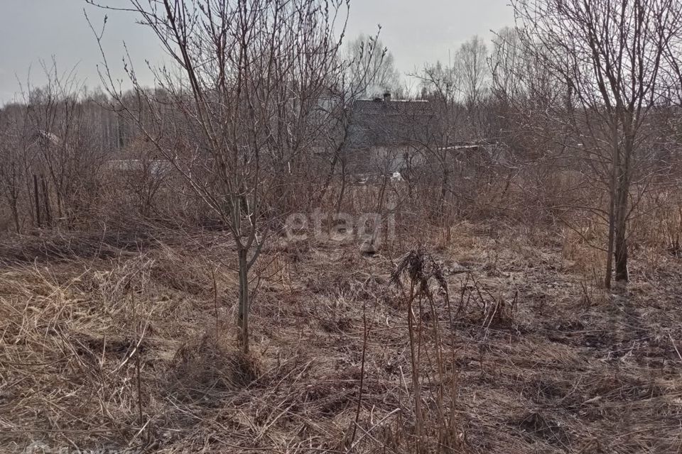 земля городской округ Нижний Тагил, коллективный сад Северный-2 фото 1