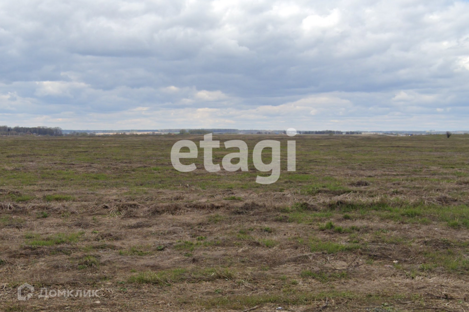 земля р-н Новомосковский г Новомосковск муниципальное образование Новомосковск, Городская площадь фото 4