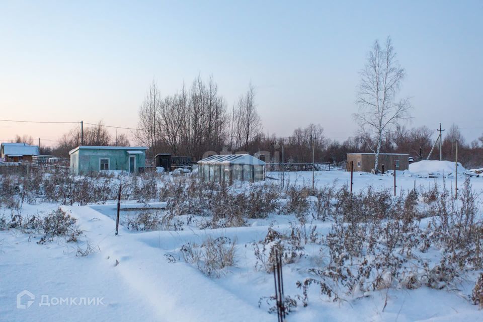 земля г Тобольск садоводческое общество Колос, городской округ Тобольск фото 8