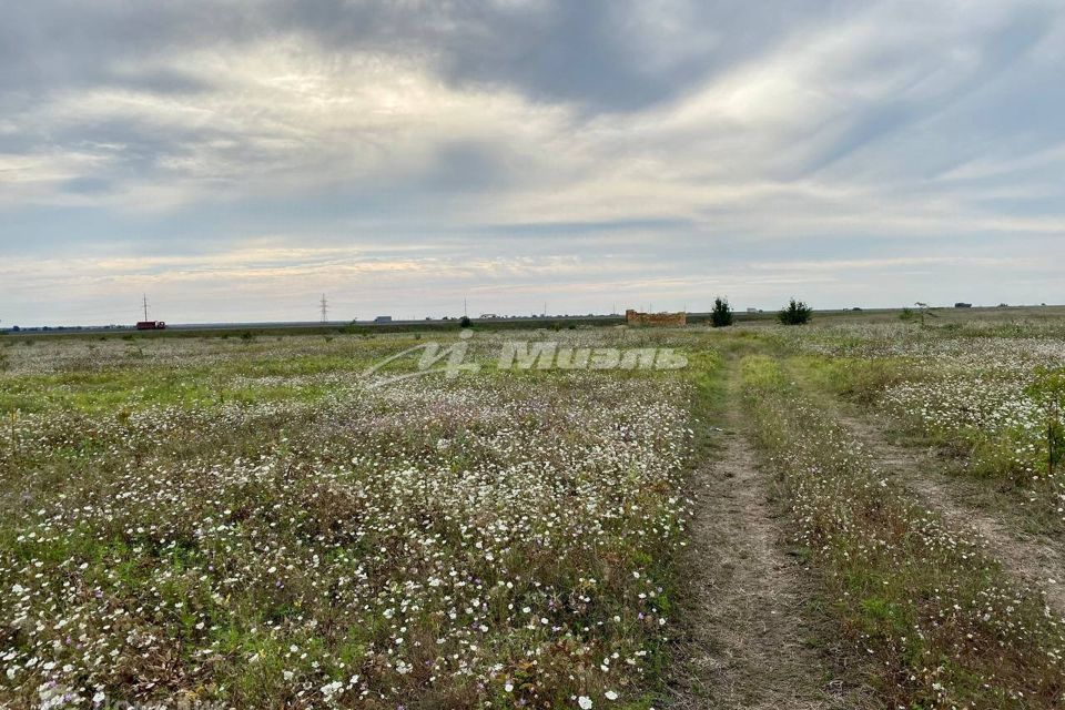 земля р-н Симферопольский с Мирное ул Ароматная фото 3