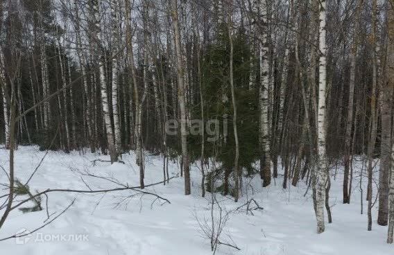 земля г Екатеринбург Екатеринбург, СНТ Агровод, муниципальное образование фото 2