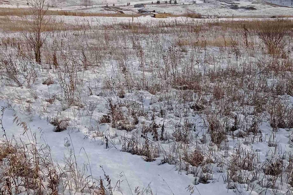 земля г Октябрьский городской округ Октябрьский, микрорайон Приозёрный фото 1