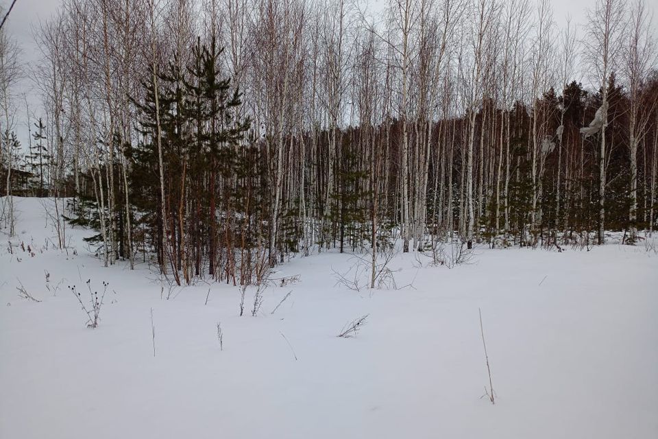 земля г Заречный с Мезенское ул Клубничная 11 городской округ Заречный фото 3