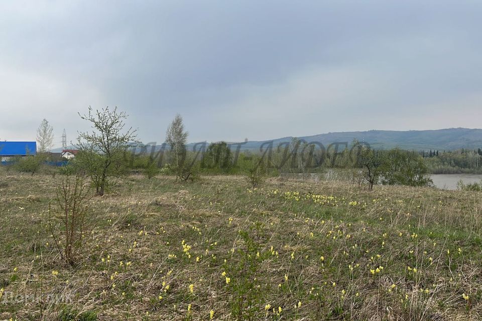 земля р-н Алтайский с Ая территория Пограничное фото 8