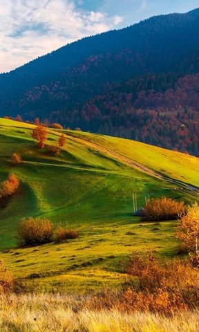 д. Уткино Линдовский сельсовет фото