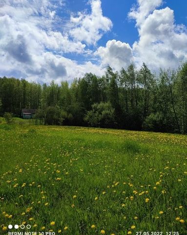 садовое товарищество Мелиоратор фото