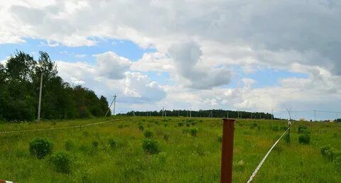 Добровское сельское поселение, дачный массив Лозовое-3 фото